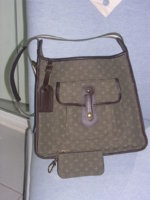 LV's and Giverney print 003.jpg
