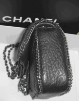 CCLeoBag5.gif