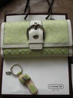 Spring slide key & wallet-Pear.JPG