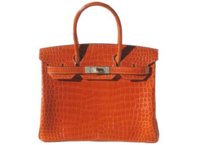 orangecrocbirkin.JPG