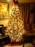 2013 XMAS TREE.jpg