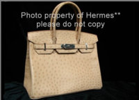 Beige Ostrich Birkin.jpg