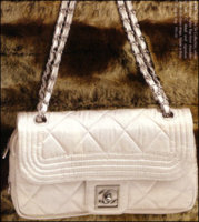 White Ski Collection Purse SportsBag.jpg