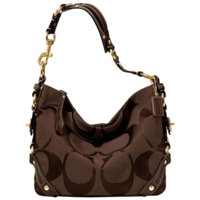 CARLY SIGNATURE BAG-brown-348.jpg