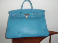 birkin 50 full.jpg