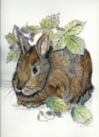 backroomtreasures rabbit among the blackberries.jpg