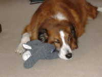 Sam&Lambchop.jpg