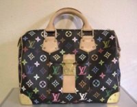 (19) Louis Vuitton - Multicolor Speedy 30 - (1670) 1800.JPG