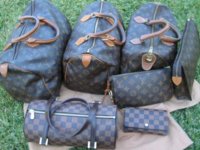 bag collection LOUIS VUITTON.JPG