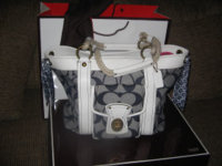 coach bag 6.jpg