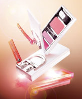 Dior New Look 2007 compact.jpg