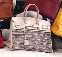 Beige Vibrato Birkin.jpg