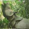 Save_the_Rhinos