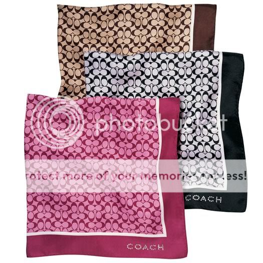 scarves_coach.jpg