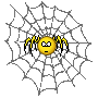 :spiderweb: