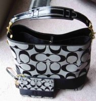 Coach hobo&wristlet.jpg