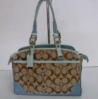 coach light blue.jpg