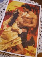 bodice ripper.jpg