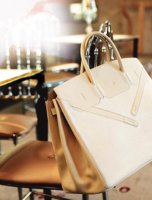 shadow birkin.jpg