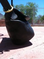 buckle:side 4.jpg