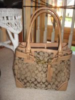 Hampton Belted Satchel 10509.JPG