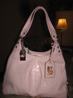 Madison Exotic Maggie 14602.JPG