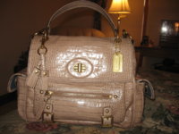 Pearl Croc Embossed Sydney 14615.JPG