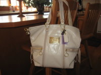 Poppy Spotlight Tote 14564.JPG