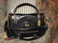 Sydney Shoulder Flap 14614.JPG