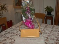 coccinelle bag1.jpg