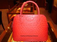 DSC00438.jpg