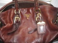 Picture 227 prad.jpg