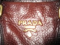 Picture 231pra2.jpg
