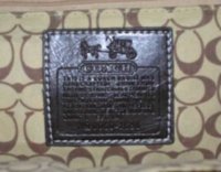 1688-brodysports2009-b.jpg