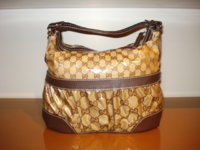 $399 Crystal Mix Hobo 003.jpg