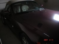 merlot z4 002.jpg