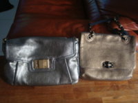 silver vs gold lanvin side by side.jpg