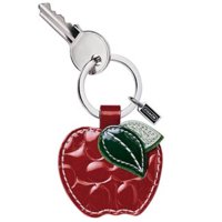 Apple Keychain.jpg