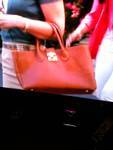 royal pains handbag.jpg