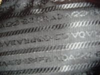 mjphoto5.jpg