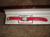 coach watch 001.jpg