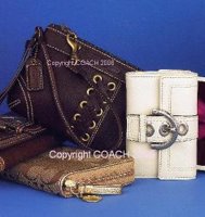 Duffle wristlet from Coach catalogue1.JPG