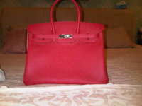 B 35 Bougainvillea epsom phw brand new.jpg