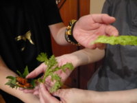P1020136.JPG