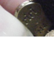 p4.jpg