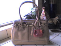 tote-mom.jpg