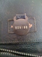 mulberry01.JPG