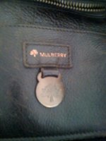 mulberry03.JPG