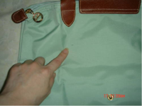 Capture5.PNG