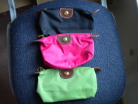 longchamp cosmetic bag.jpg